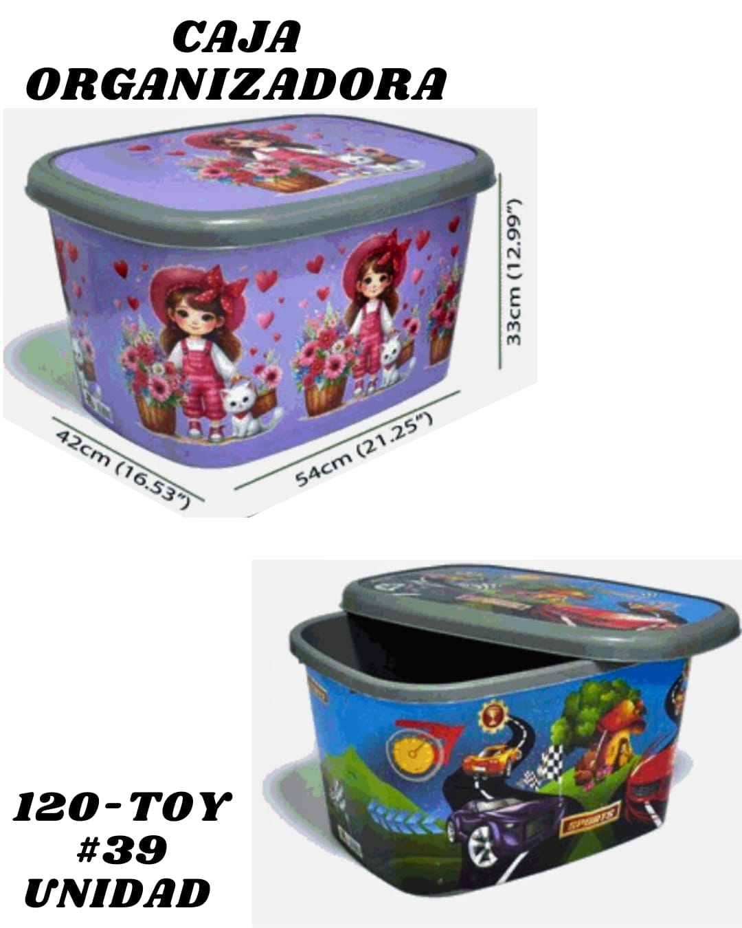 Caja Organizadora-Pl&aacute;stica 25L - Imagen principal
